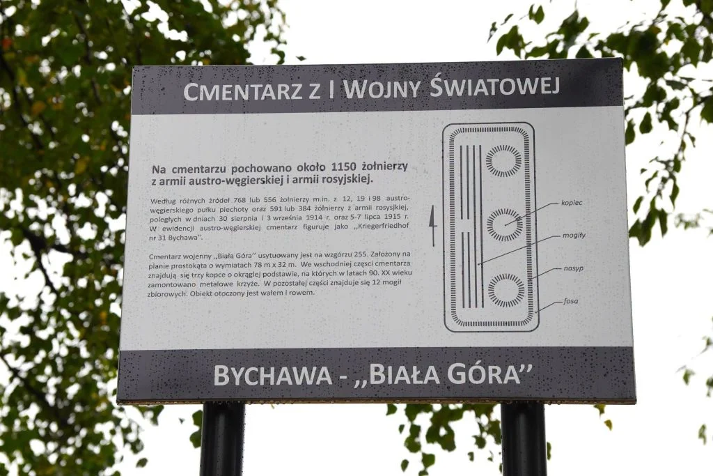 Podlubelska miejscowość inwestuje w historyczne pamiątki. Nowe życie zyskały nie tylko ruiny pałacu [zdjęcia] - Zdjęcie główne
