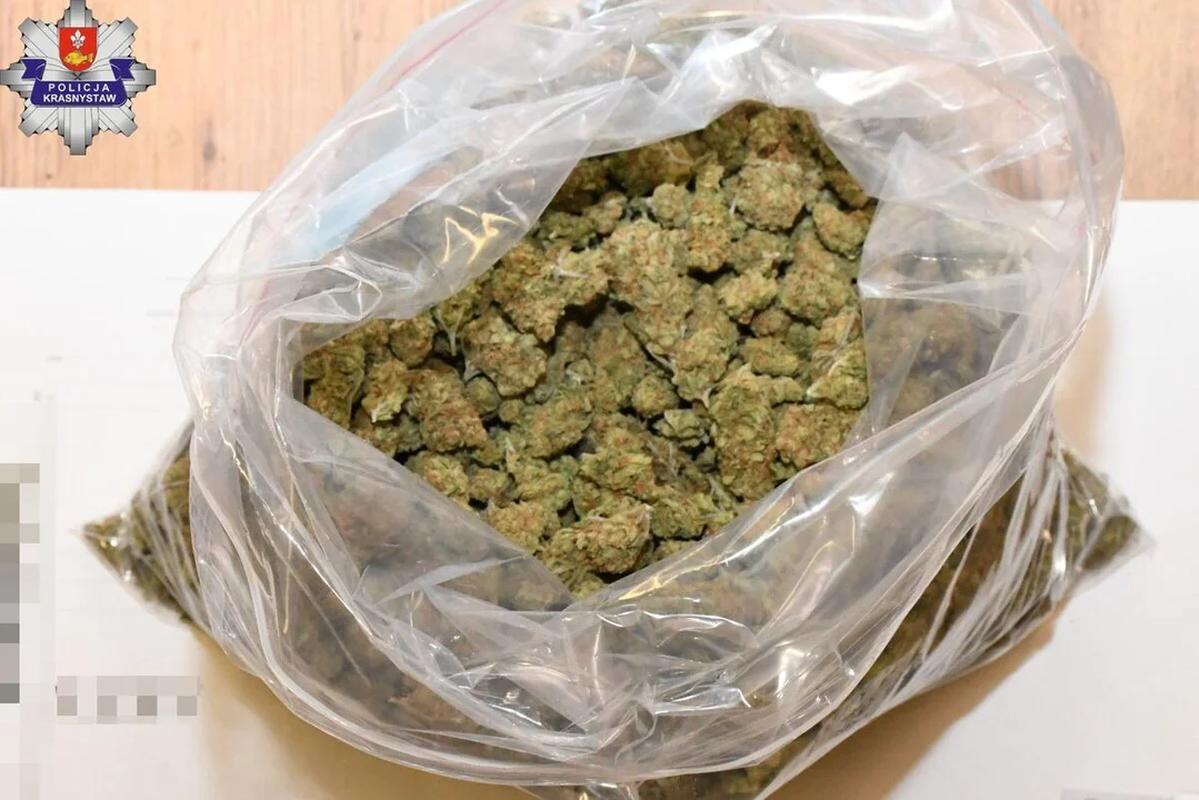 12 kg narkotyków zakopanych w beczkach w woj. lubelskim. Policja przechwyciła towar wart niemal 800 tys. zł