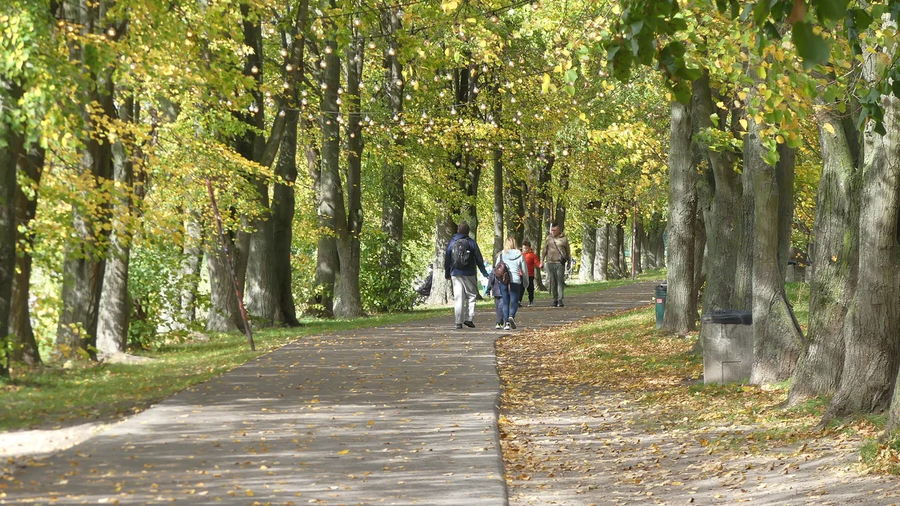Jesień nad Zalewem Zemborzyckim
