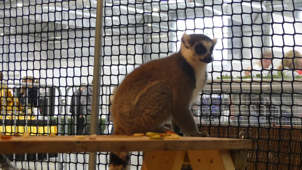 ZOOPARK w Lublinie